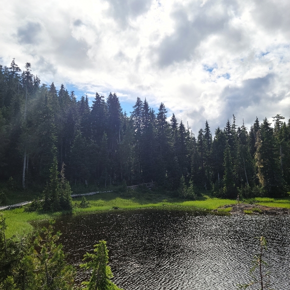 Meet your Posher, Tyra - Picture 1 of 1